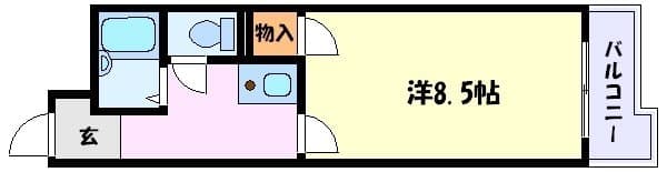 505