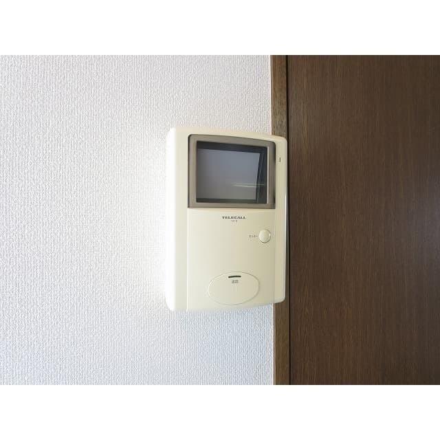 アンプルール フェール 柏