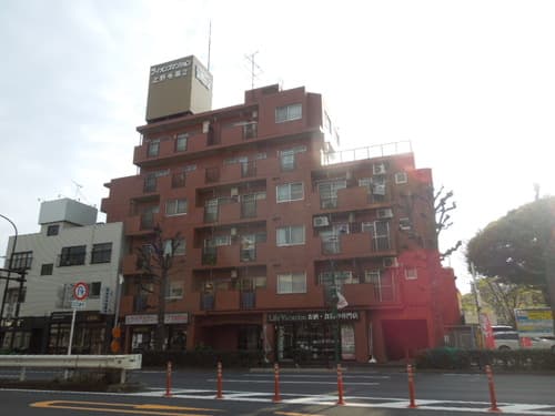 ライオンズマンション上野毛第2