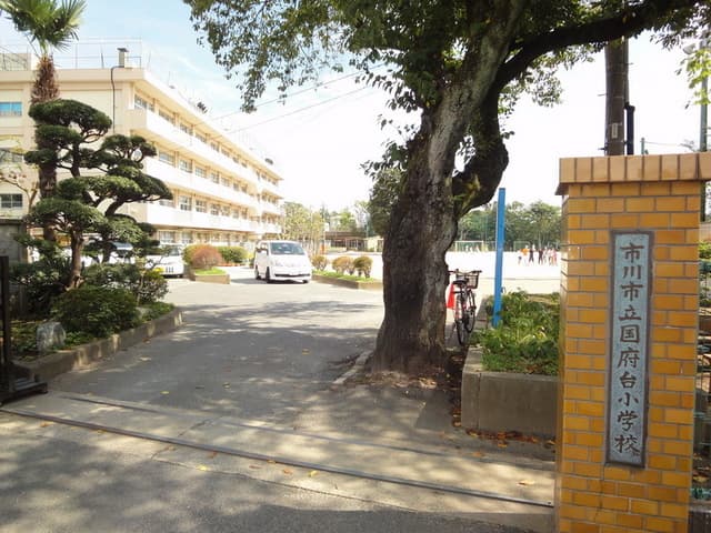 Property