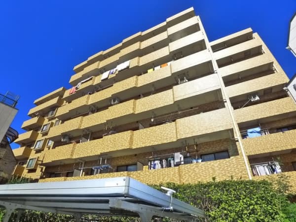 ﾗｲｵﾝｽﾞﾏﾝｼｮﾝ堀切菖蒲園(113)